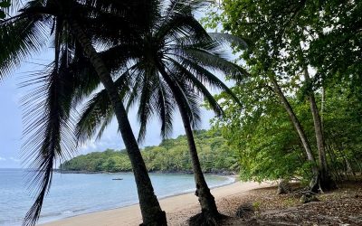 Paradiesinsel Principe