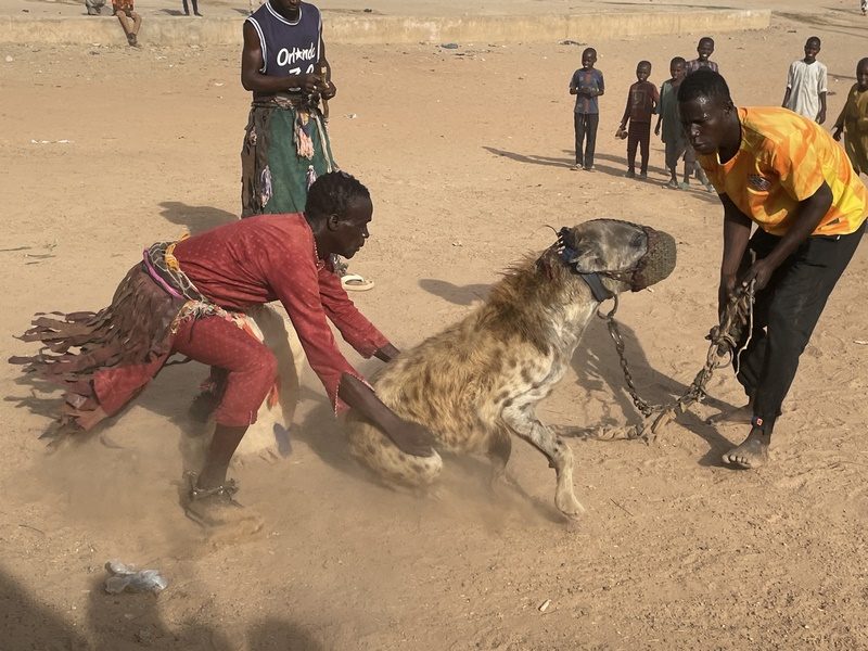 Die Hyänenmänner in Nigeria