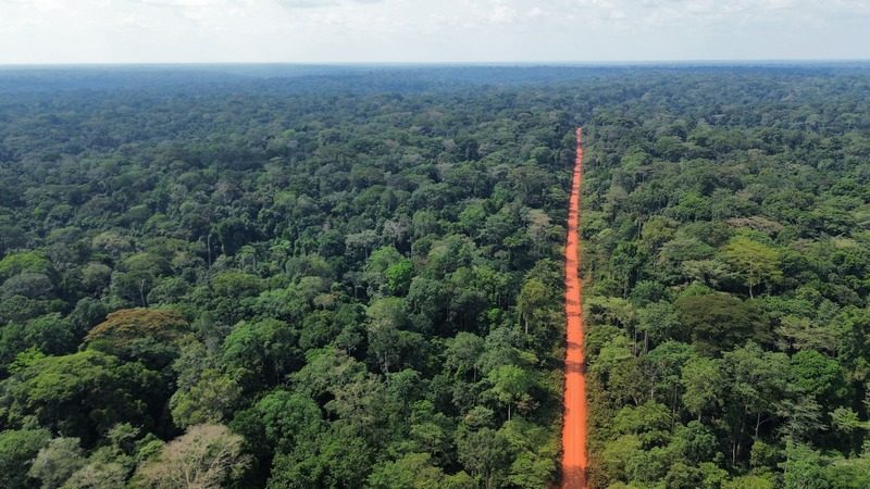 Tief ins Kongobecken