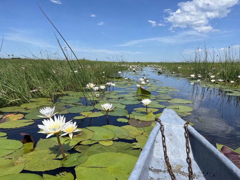 Im Okavango Delta